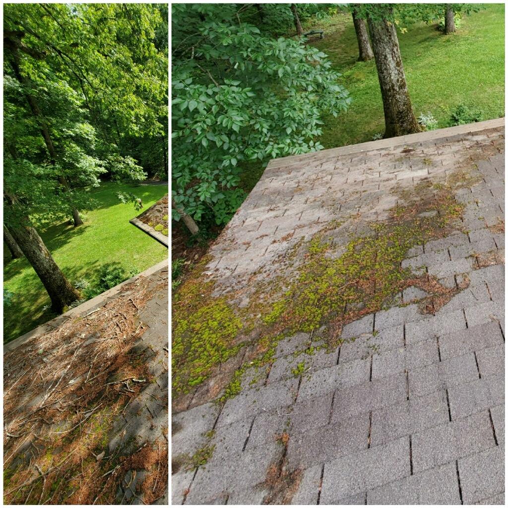 Asphalt roof cleaning starberry tx before